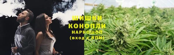Альфа ПВП Дмитровск