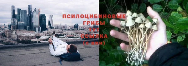 каннабис Баксан