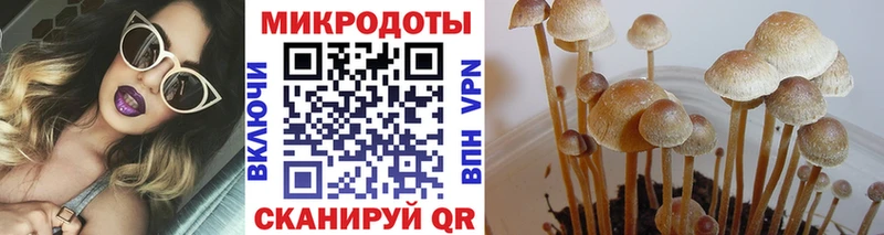 hydra вход  Колпашево  Галлюциногенные грибы ЛСД  купить  цена 